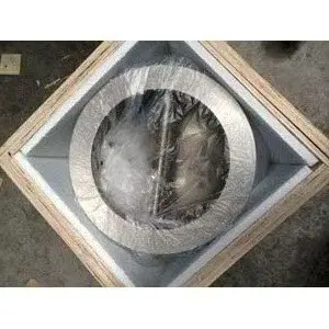 EPDM Seated Wafer Check Valve, Double Disk
