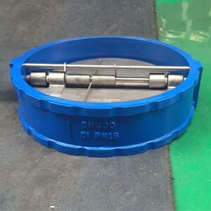 Stainless Steel Wafer Check Valve, Double Door, 120 LB, 24 Inch