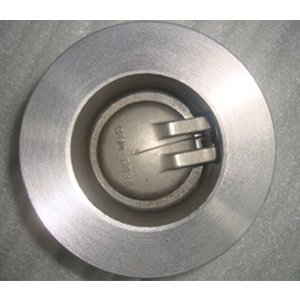 Wafer Check Valve, A216 WCB, DN50, API 594