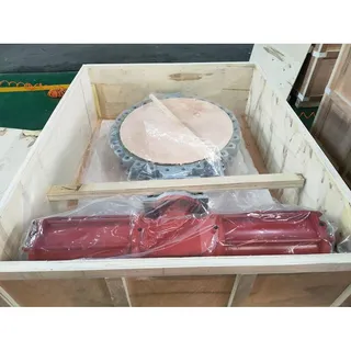 Pneumatic Butterfly Valve