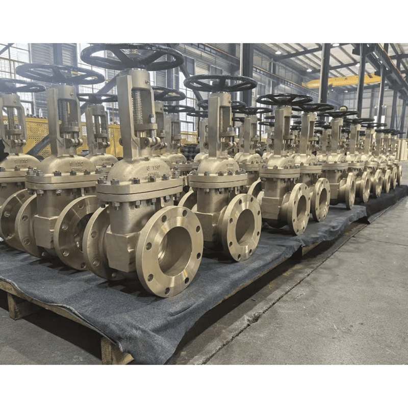 API 600 Gate Valve, Al-Bronze ASTM B148 C95800, 6 IN, 150 LB