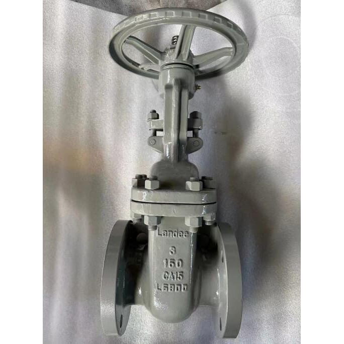 API 600 Gate Valves, ASTM A217 CA15, 3 IN, CL 150 LB, Flanged