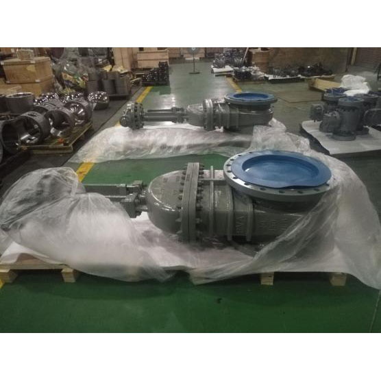 API 600 Wedge Gate Valve, A216 WCB, Trim 8, 20 IN, 150 LB