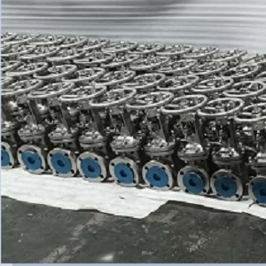 API 600 Gate Valve, ASMT A351 Grade CK3MCUN, 2 Inch, 150 LB