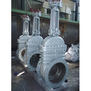 API 6D Through Conduit Gate Valve, RF, DN600