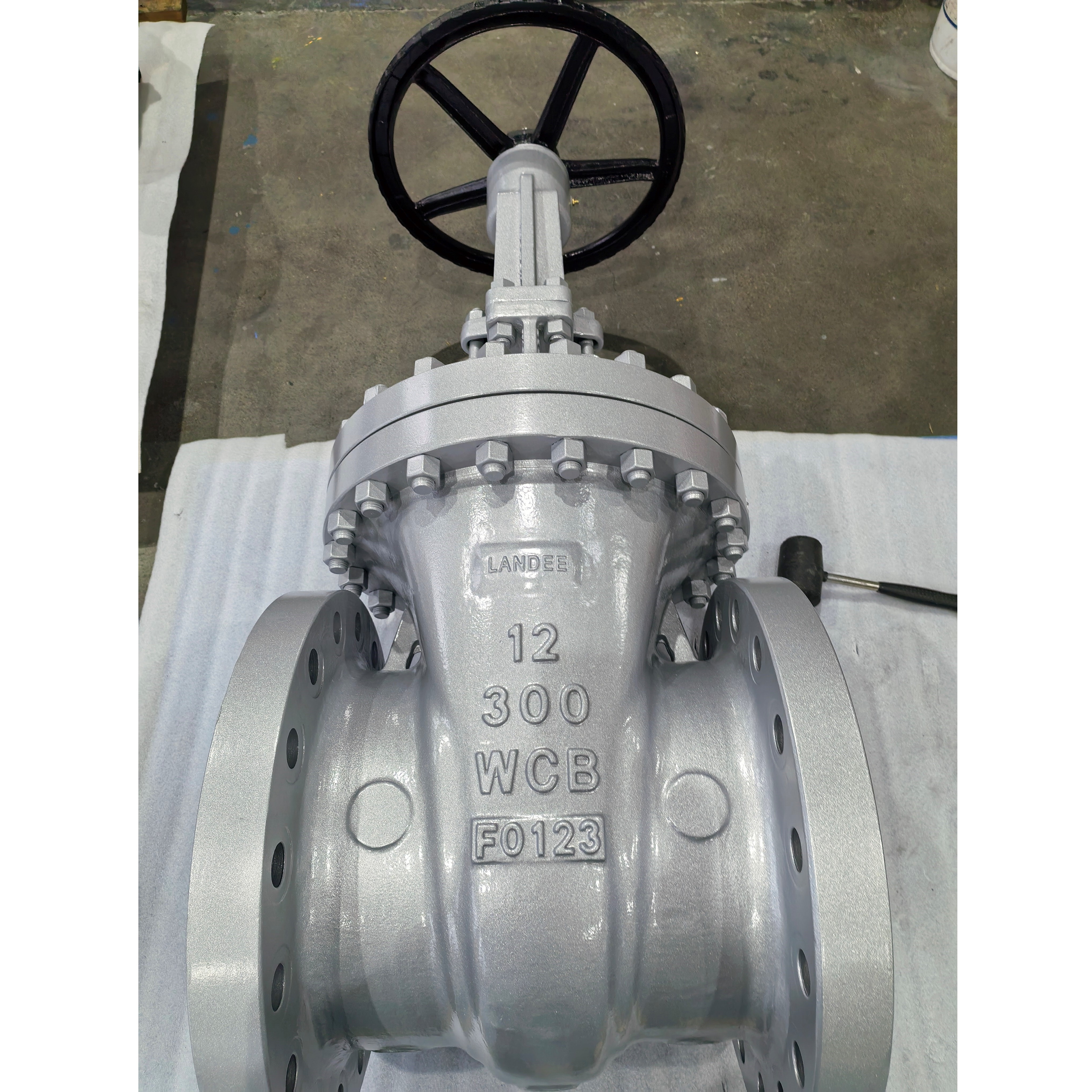 ASTM A216 WCB Gate Valve, A182 F6a, API 600, 12 IN, CL300