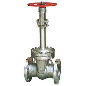 ASTM A352 Flanged Cryogenic Gate Valve, 6 Inch