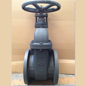 Cast Iron Non Rising Stem Gate Valve, 8 Inch, DN200, 125 LB