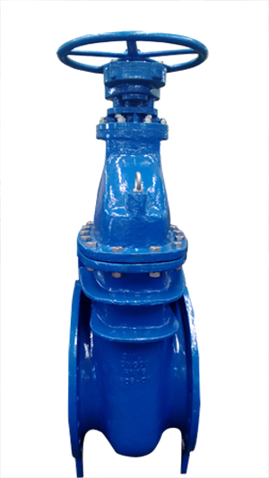 Ductile Iron Gate Valve, Flanged DN600 PN16