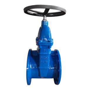 Ductile Iron Gate Valve, PN16 DN250 Flanged