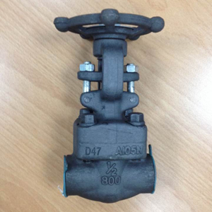 Reduced Bore Forged Gate Valve, NPT, 800#