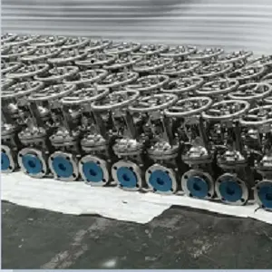 API 600 Gate Valve, ASMT A351 Grade CK3MCUN, 2 Inch, 150 LB