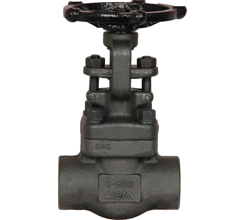 Gate Valve