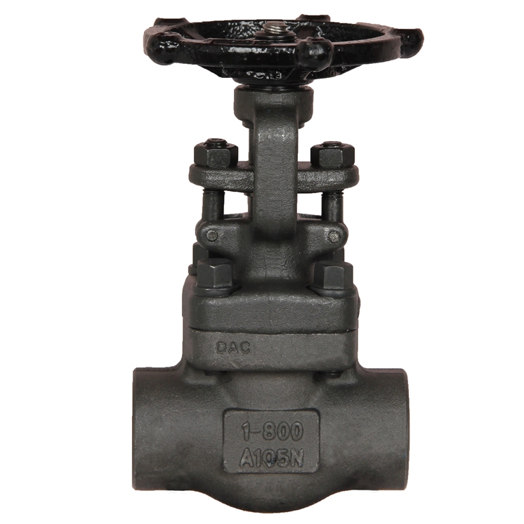 Class 800, 1500, 2500 LB Gate Valve, API 602, ASTM A105N