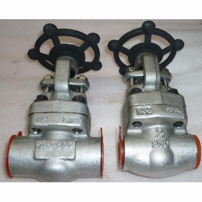 A182 F316L Forged Steel Gate Valve, DN15, PN30, Socked Weld