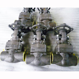 ASTM A182 F11 Gate Valve, DN20, PN150, SW