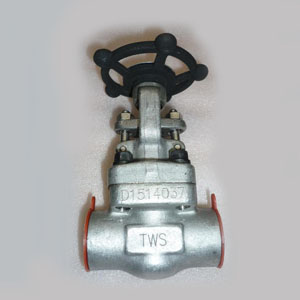 Forged Gate Valve, DN15, PN150, A182 F316L, SW Ends