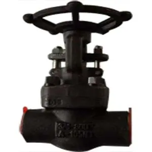 Socket Weld Gate Valve, A105, 800 LB, 3/4IN