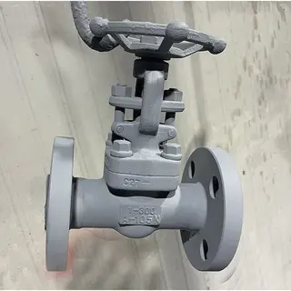 API 602 Gate Valves, Carbon Steel ASTM 105N, 1 Inch, 300 LB