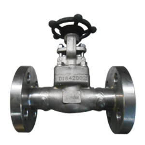 Gate Valve, A182 F304L, Flanged Ends, 3/4IN, CL600