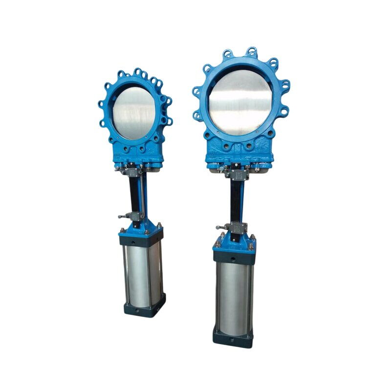 MSS SP-81 Knife Gate Valve, A216 WCB, DN250, CL150, Pneumatic