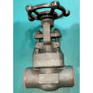Handwheel Gate Valve, ASTM A105, 1/2-2 IN, 800 LB, API 602