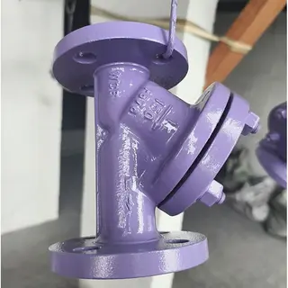 ASTM A216 WCB Strainer, 1 IN, CL150 LB, PTFE Lined, RF Ends