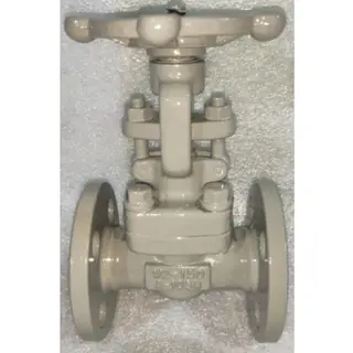 OS&Y Gate Valve, Bolted Bonnet, API 602, ASTM A105, 150 LB