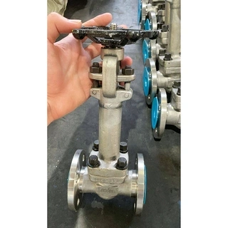 Stainless Steel Gate Valves, API 602, A182 F44, 1 IN, 150 LB