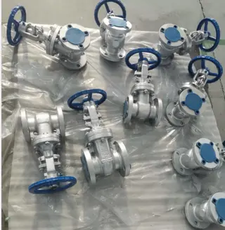 Gate Valve