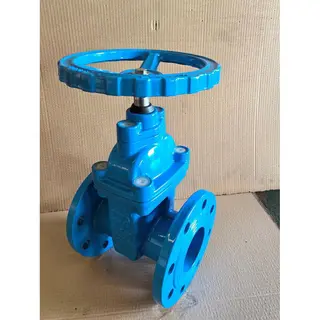 Double Flanged Gate Valves, BS 5163, Ductile Iron, DN50, PN16