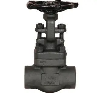 Gate Valve