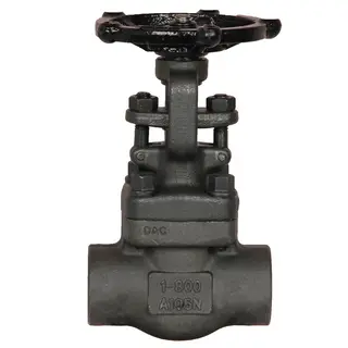 Class 800, 1500, 2500 LB Gate Valve, API 602, ASTM A105N