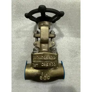API 600 Gate Valves, ASTM B148 C95800, 3/4 Inch, CL 800, SW
