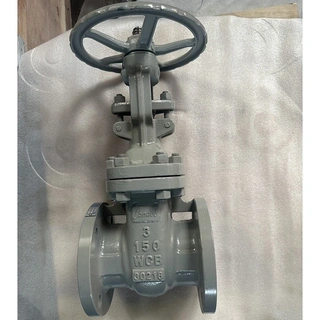 ASTM A216 WCB Gate Valve, Carbon Steel, 3 IN, CL150, Flanged