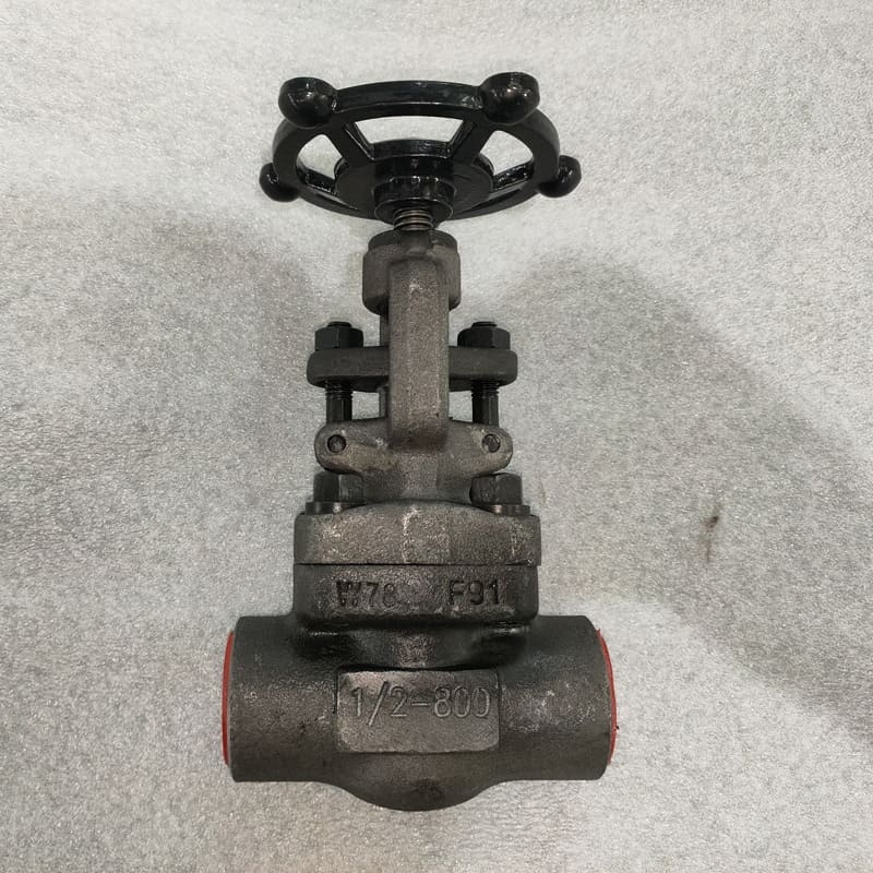 Alloy Steel Globe Valves, API 602, A182 F91, 1/2 IN, 800 LB