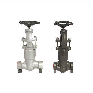 API 602, BS 5352 Y Pattern Globe Valve, 1/2-3 Inch