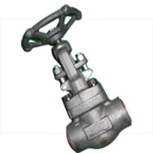 ASTM A182 F91 Globe Valve, 1 Inch, CL1500