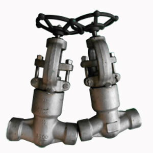 ASTM A182 Globe Valve, 1/2 Inch, 2500#, PSB