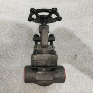 Alloy Steel Globe Valves, API 602, A182 F91, 1/2 IN, 800 LB