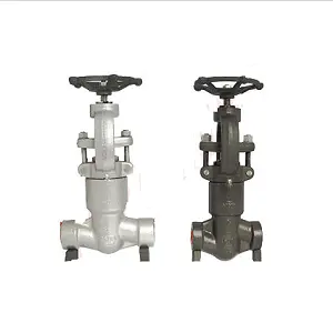 API 602, BS 5352 Y Pattern Globe Valve, 1/2-3 Inch