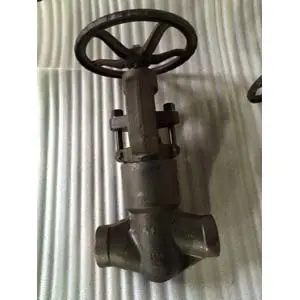 Alloy Steel Globe Valves, PN420, DN50, SW
