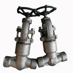 ASTM A182 Globe Valve, 1/2 Inch, 2500#, PSB