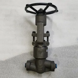 High Pressure Globe Valves, Alloy Steel F91, 1 IN, CL2500 LB