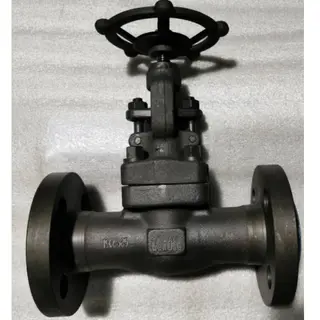 ASME B16.34 Globe Valve, 600 LB, API 602, ASTM A350 LF2