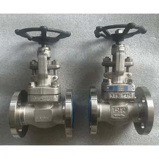 ASTM A182 F316 Globe Valve, ISO 15761, 1 IN, Class 150 LB, FF