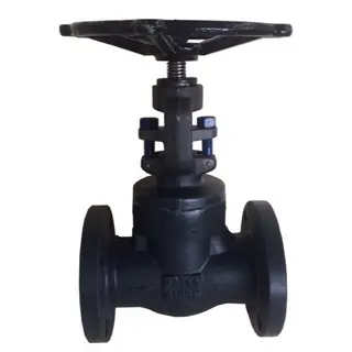 Welded Bonnet Globe Valve, API 602, A105N, 1/2-2 IN, CL 150