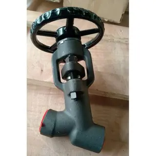 Y-Pattern Globe Valve, API 602, A182 F11/F22, A105, 1/2-2 IN