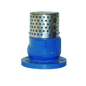 ANSI, DIN, BS Foot Valve, 6 Inch, DN150, PN16, Cast Iron