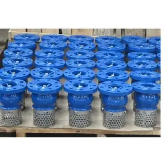 PN16 Foot Valve, Cast Iron, DN15-DN600, SS 316 Screen, RF